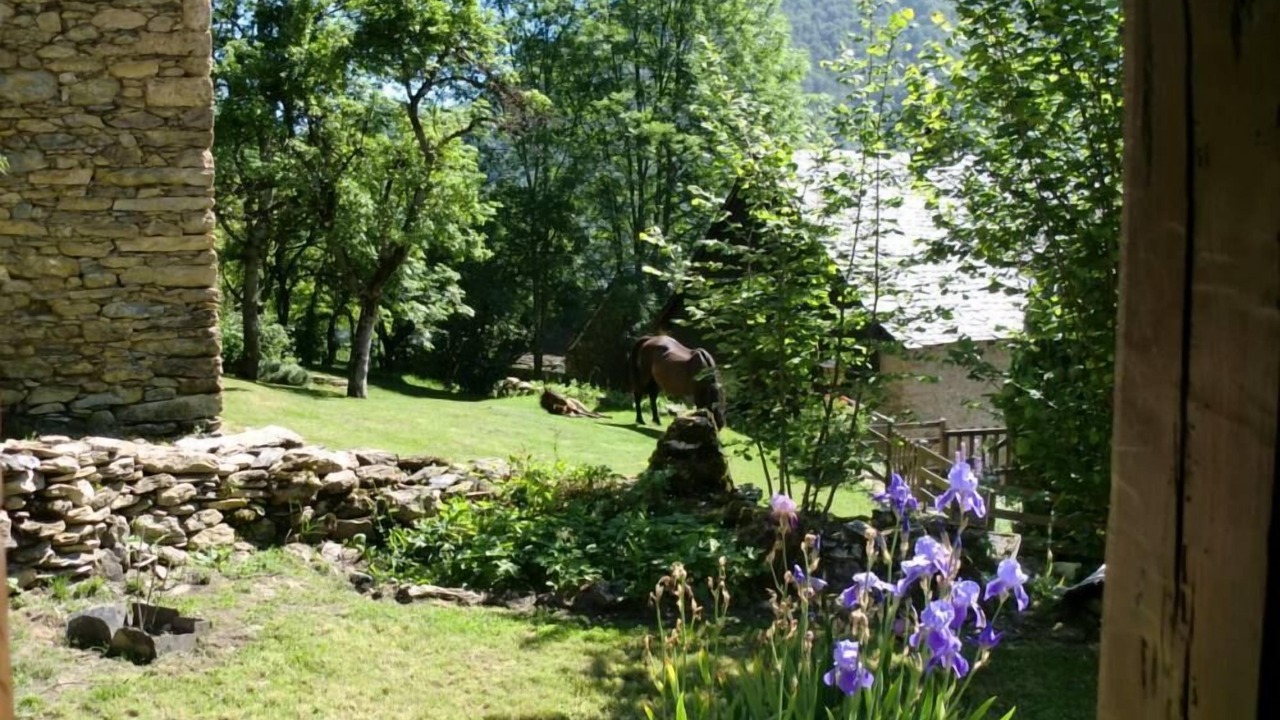 Photo of Outdoor in Bonac-Irazein