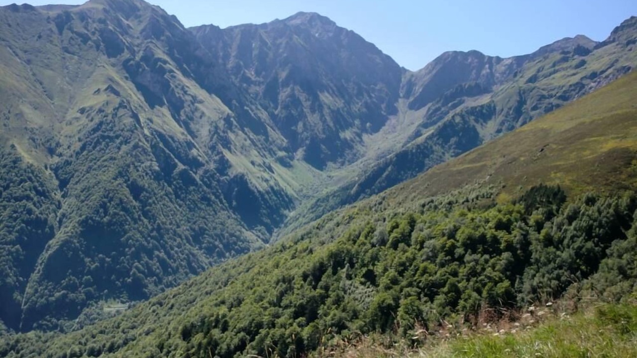 Photo of Outdoor in Bonac-Irazein