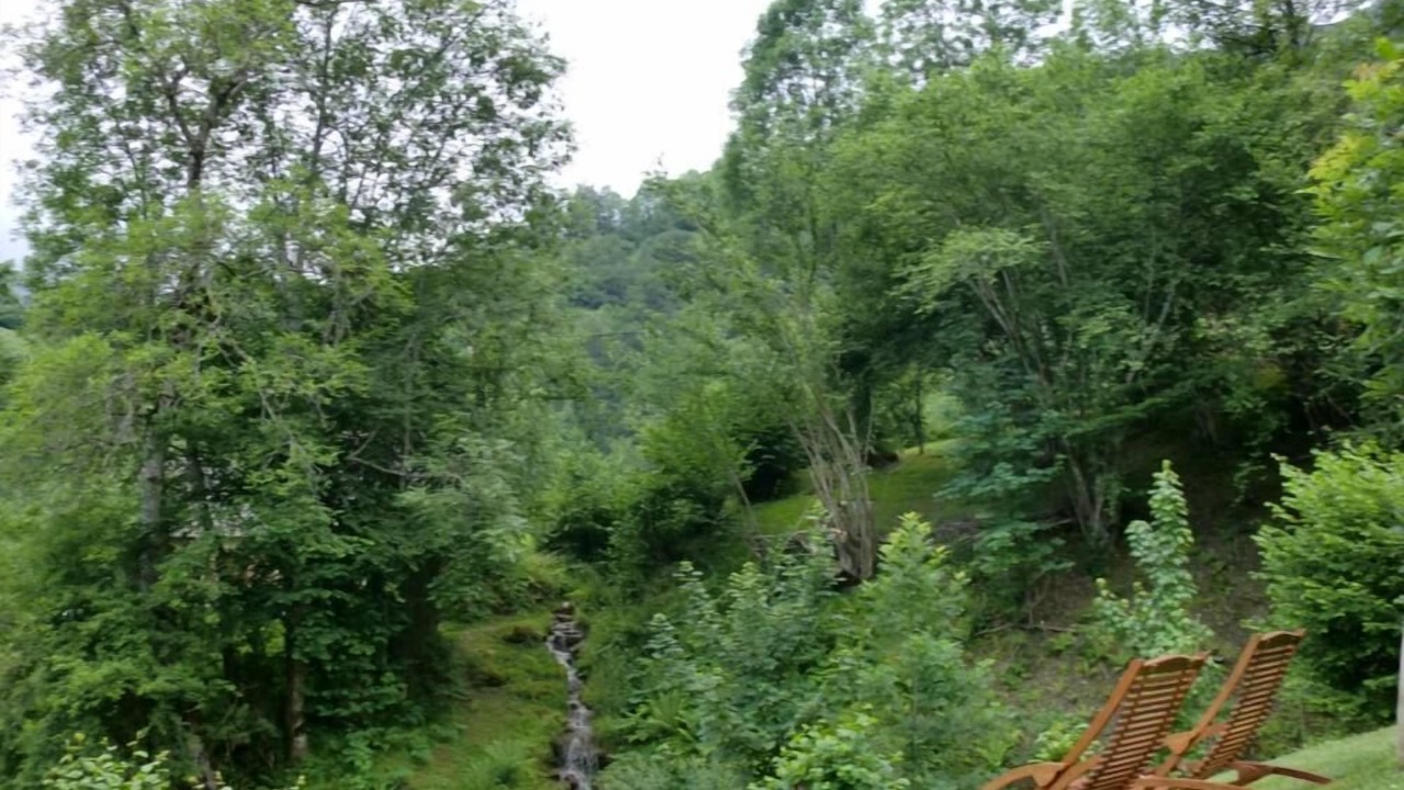 Photo of Outdoor in Bonac-Irazein