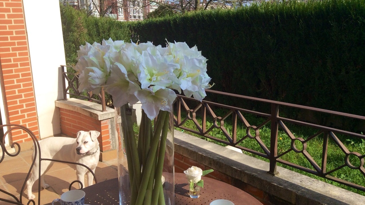 Photo of Outdoor in Getxo