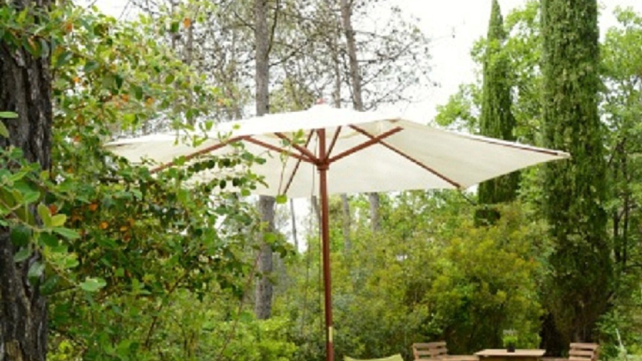 Photo of Outdoor in Saint-Clement-de-Riviere