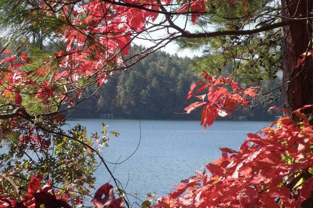 Photo of Outdoor in Lakemont