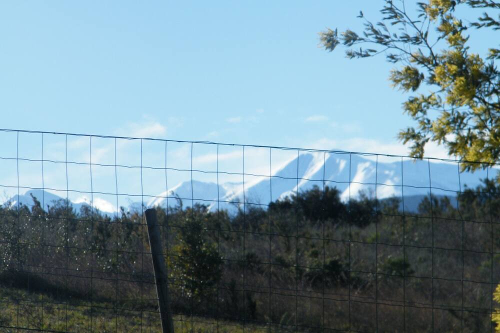 Photo of Others in Montauriol