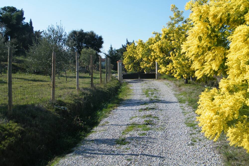 Photo of Outdoor in Montauriol