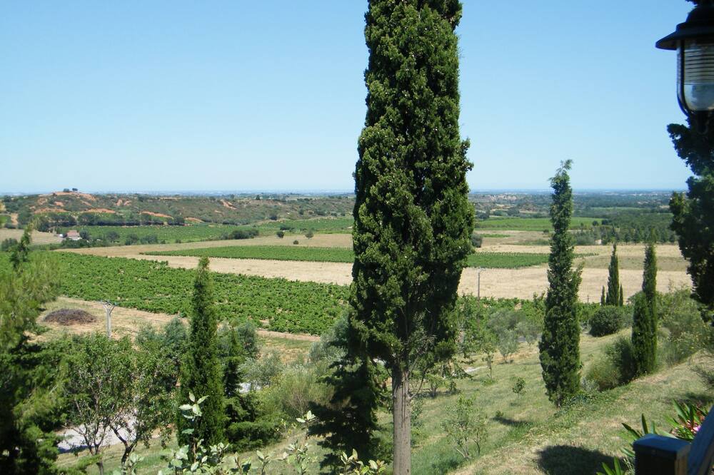 Photo of Outdoor in Montauriol