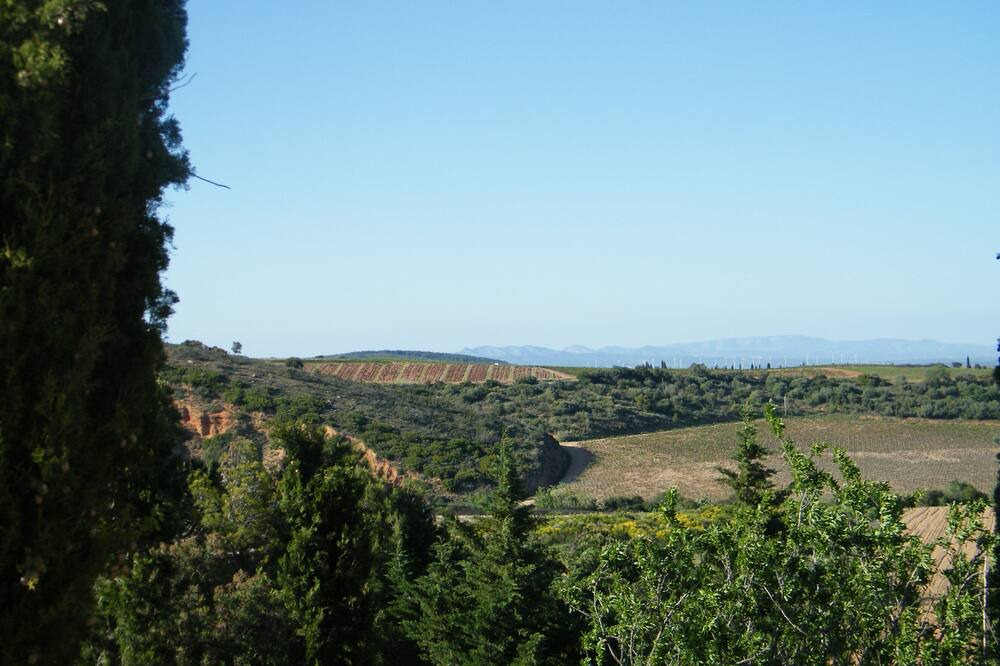 Photo of Others in Montauriol