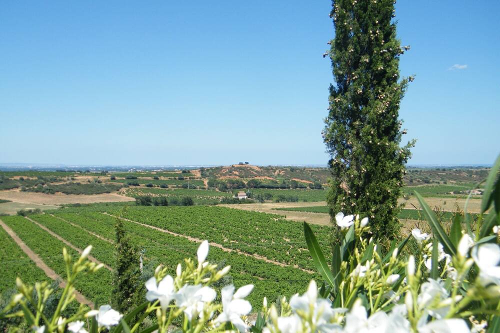 Photo of Outdoor in Montauriol