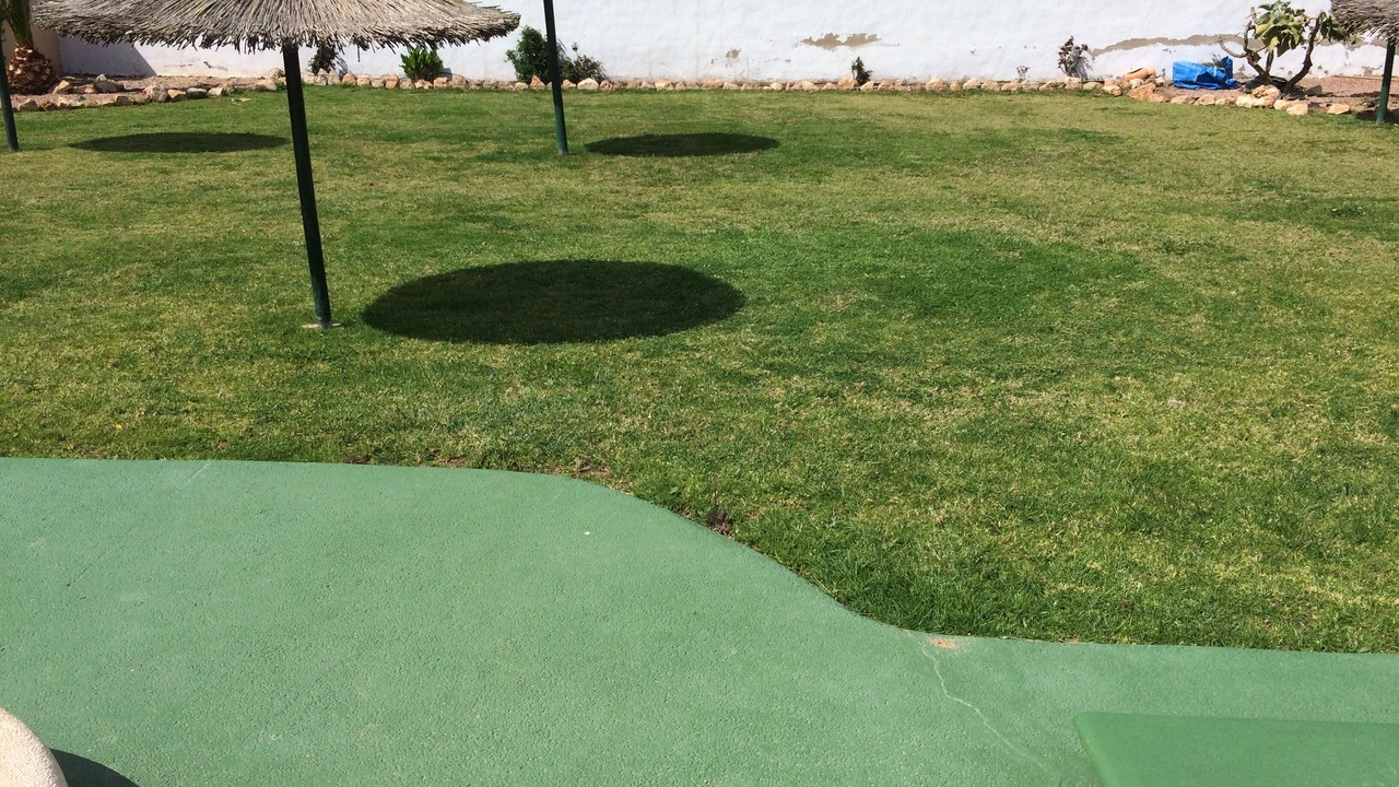 Photo of Outdoor in El Chaparral