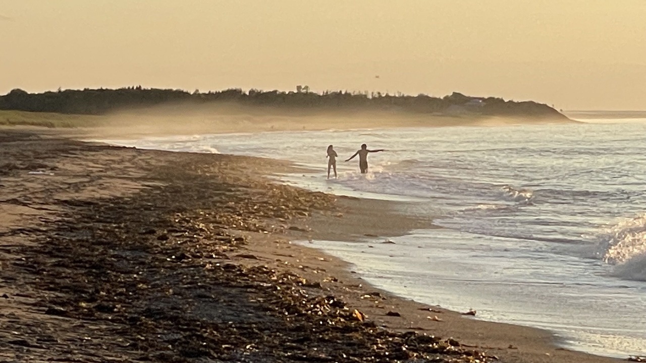 Photo of Others in Lower Barneys River