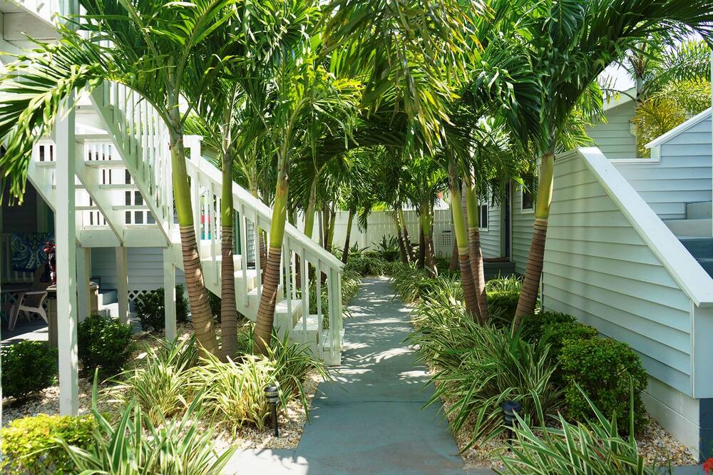 Photo of Outdoor in Treasure Island