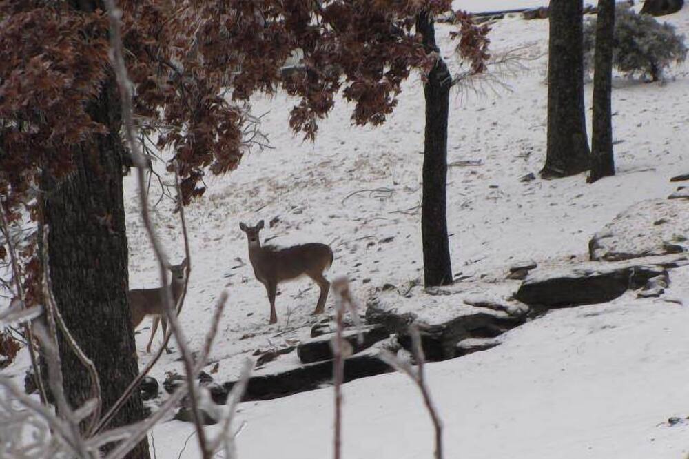 Photo of Outdoor in Gore