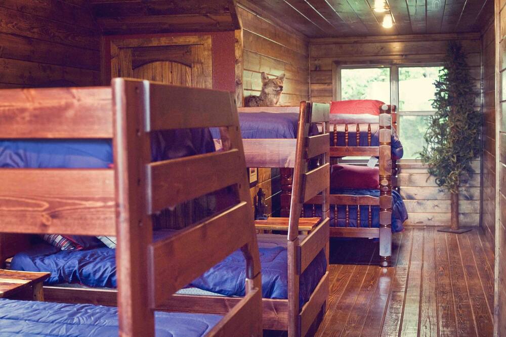 Photo of Bedroom in Gore