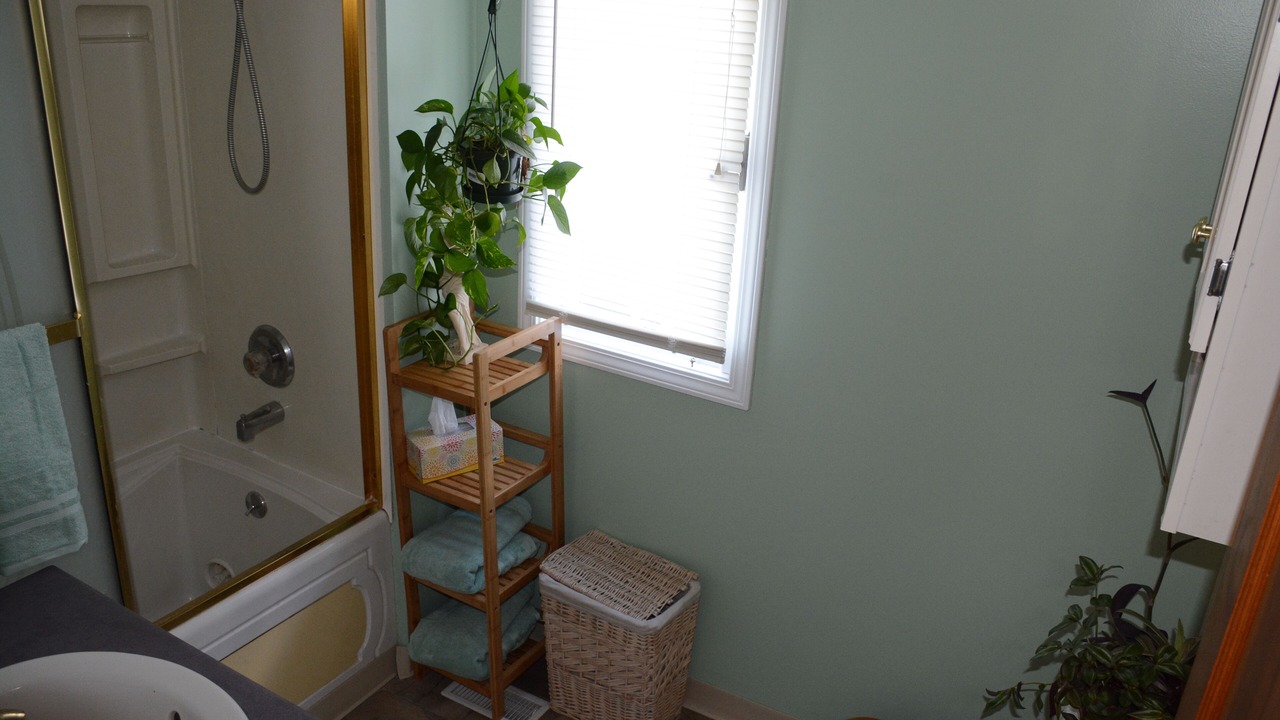 Photo of Others in Lackawanna