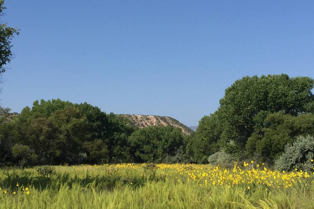 Photo of Outdoor in Medanales
