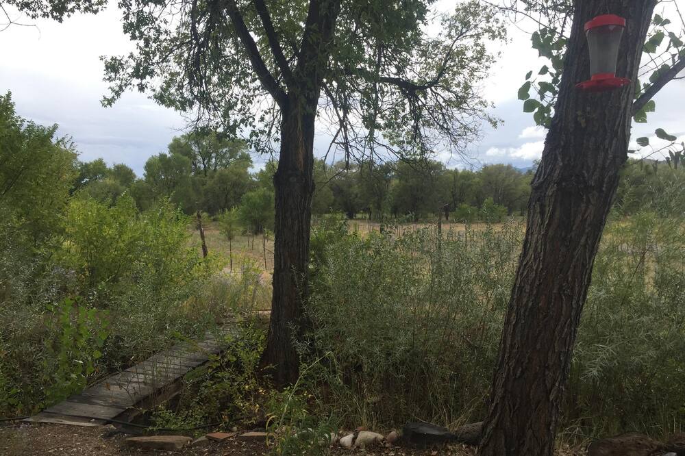 Photo of Outdoor in Medanales