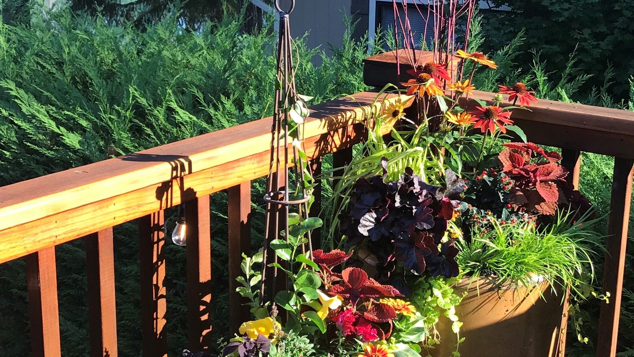 Photo of Outdoor in Allyn-Grapeview