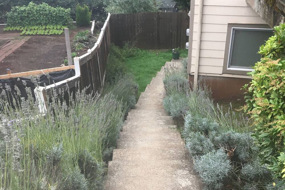 Photo of Outdoor in Western