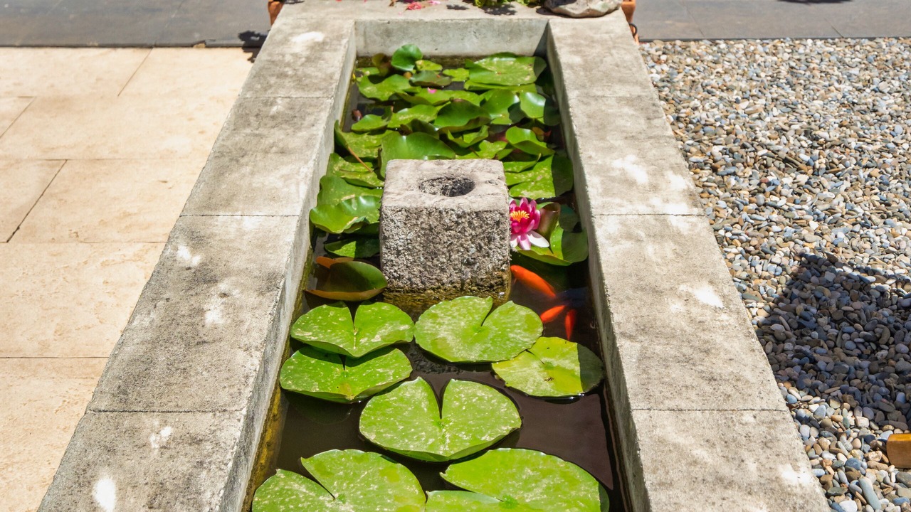 Photo of Patio Balcony in Olonzac