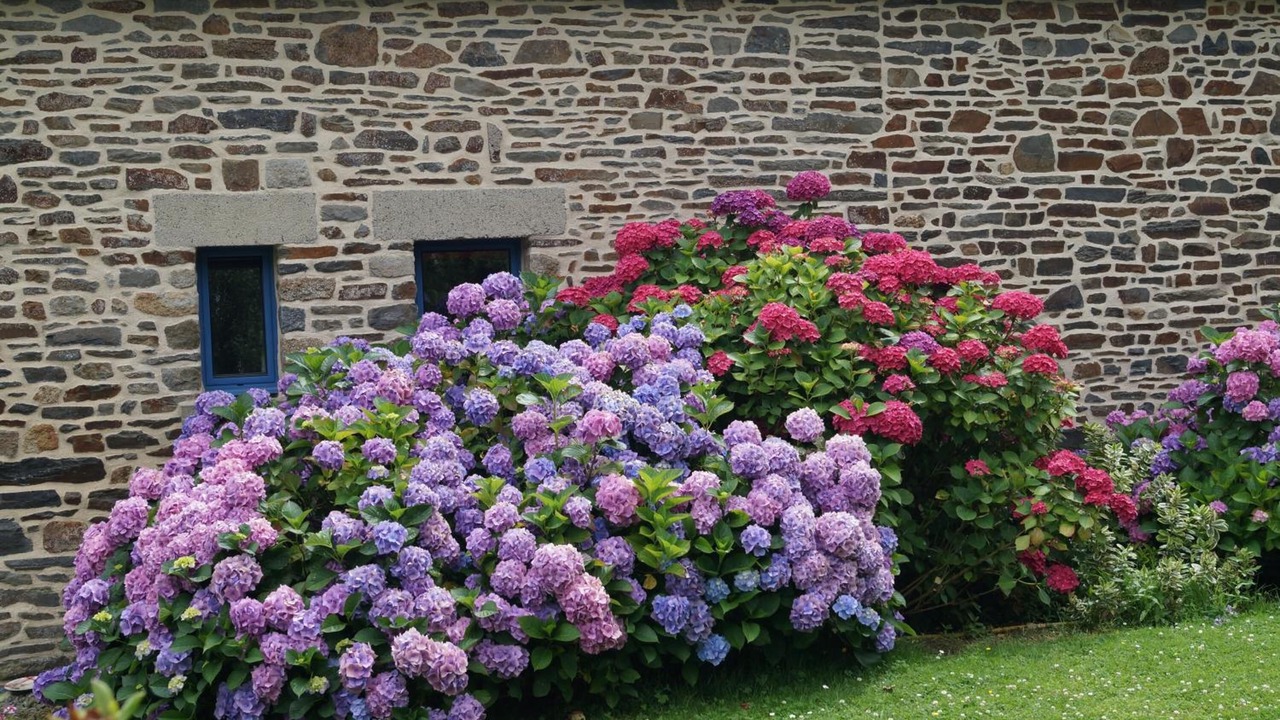 Photo of Outdoor in Dol-de-Bretagne
