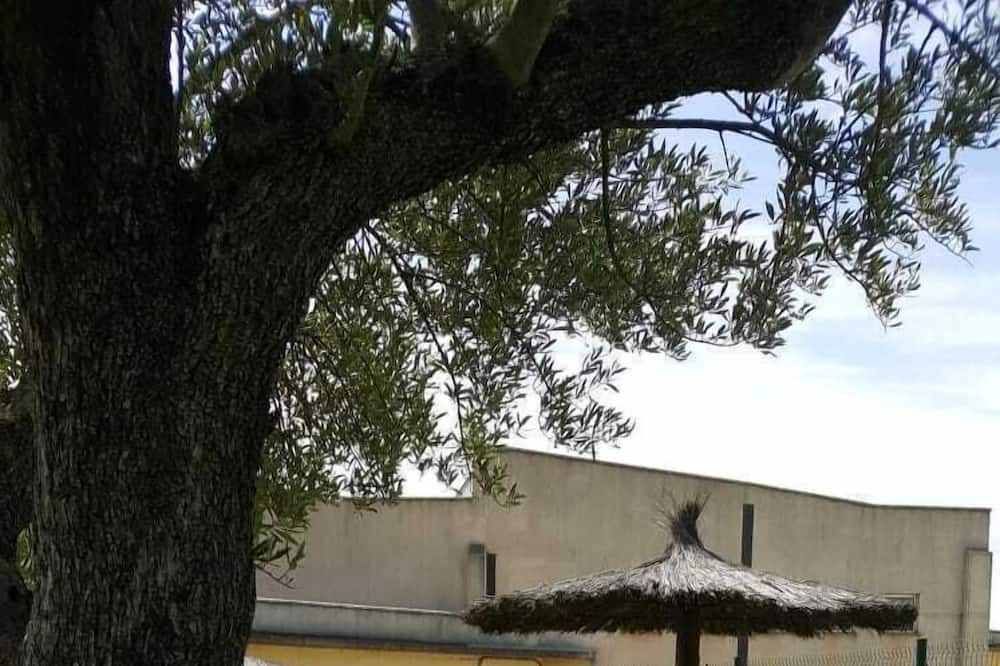 Photo of Outdoor in Ardisa