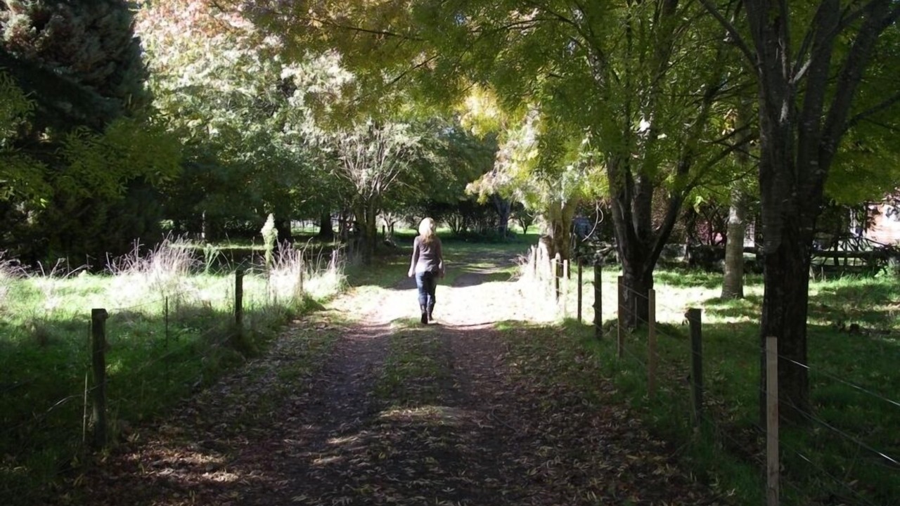 Photo of Outdoor in Ruakituri