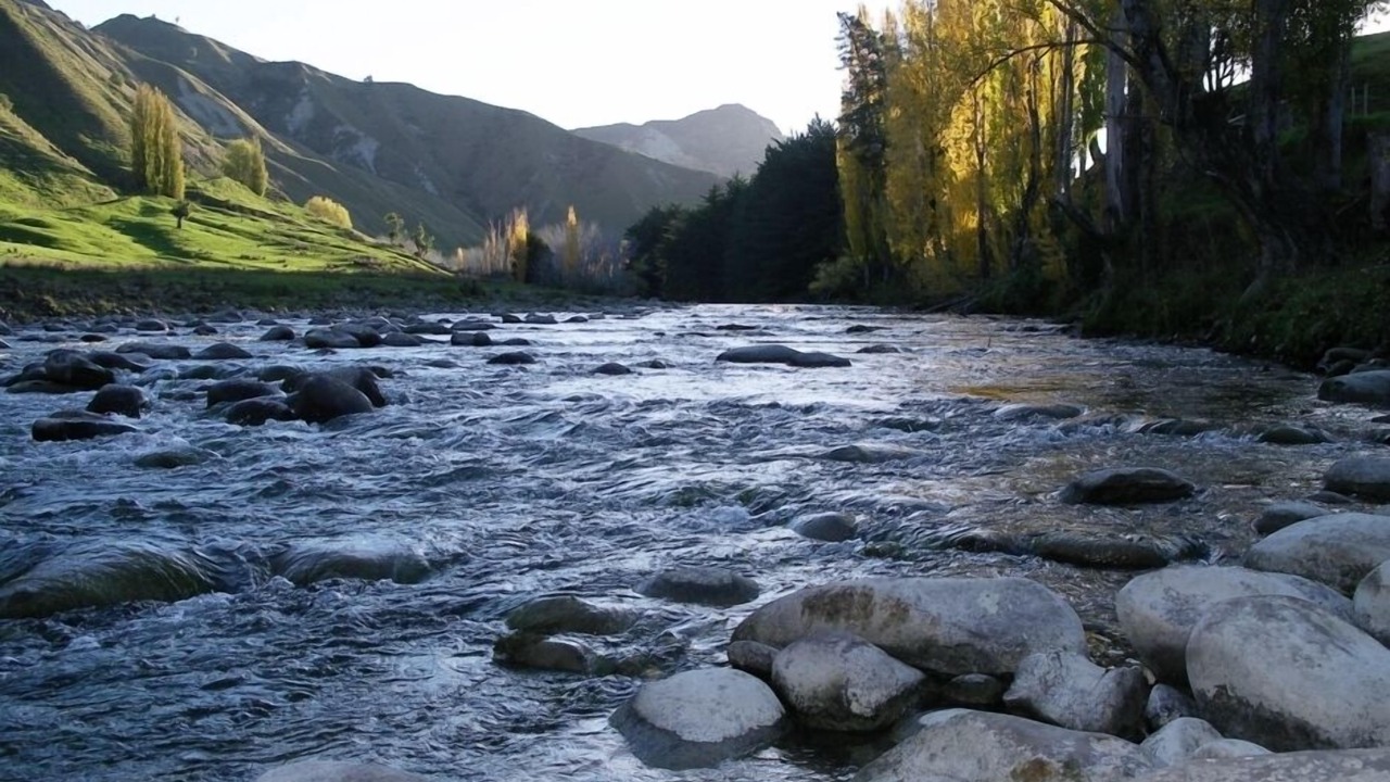 Photo of Outdoor in Ruakituri