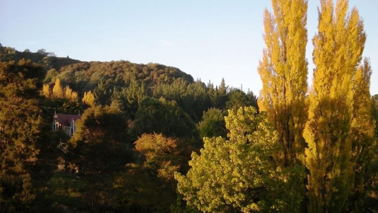 Photo of Outdoor in Ruakituri