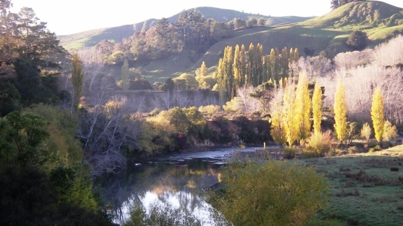 Photo of Outdoor in Ruakituri