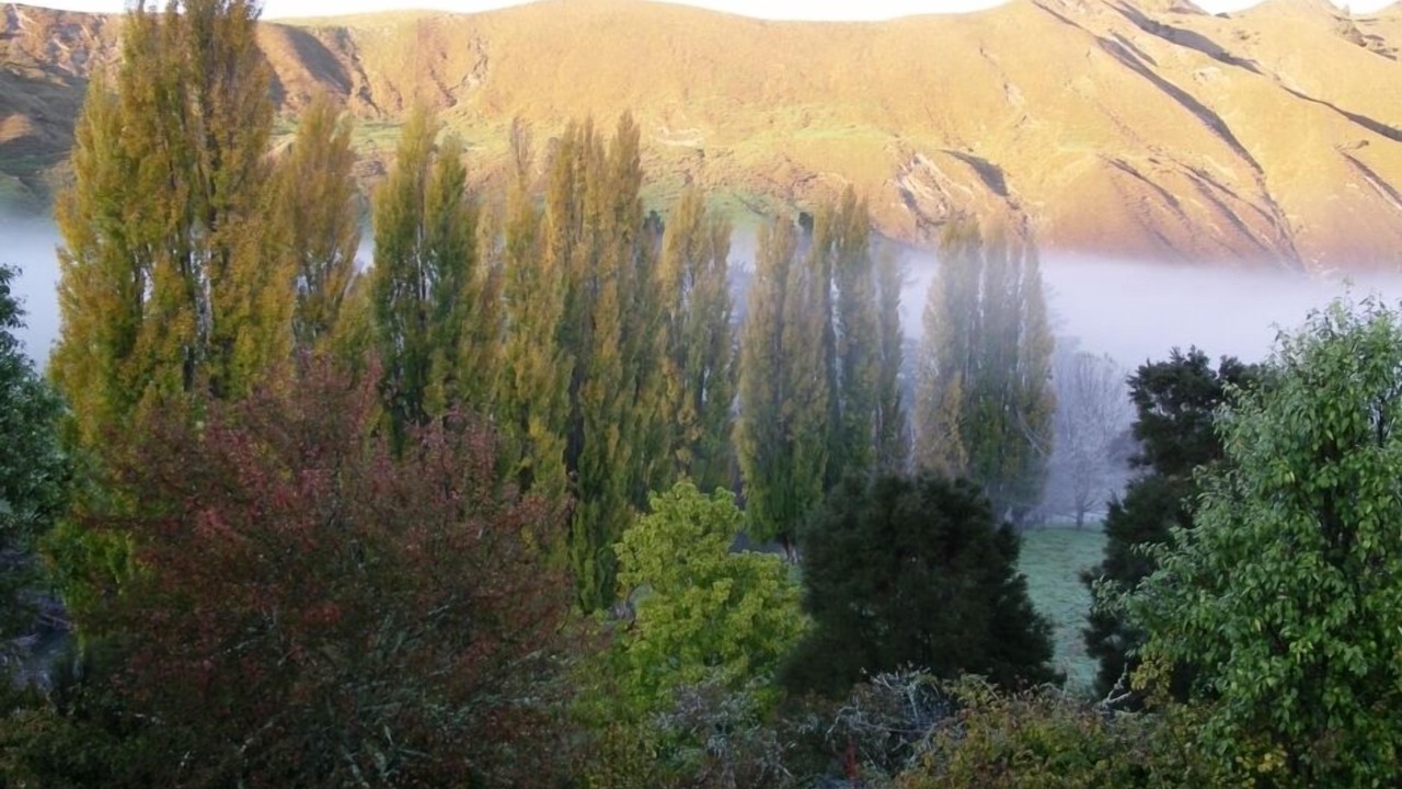 Photo of Outdoor in Ruakituri