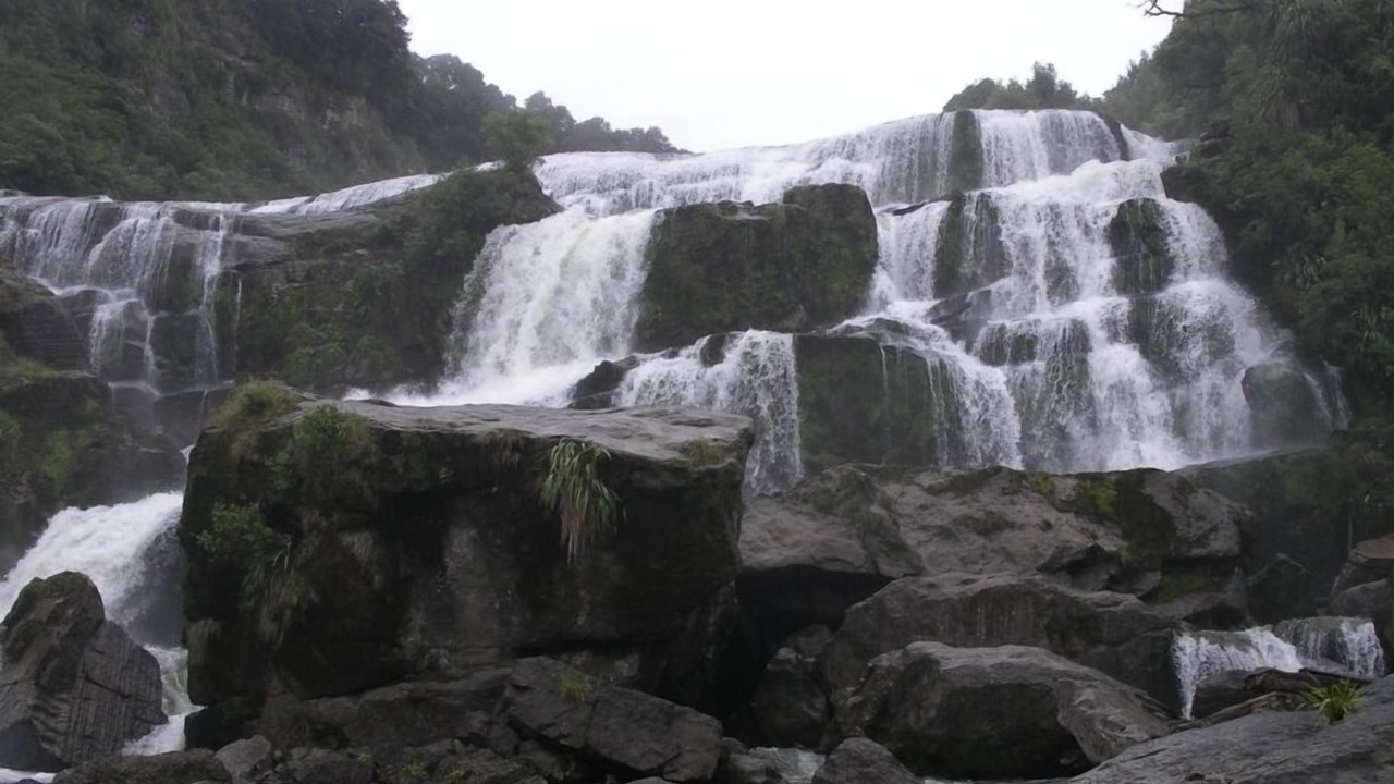 Photo of Outdoor in Ruakituri