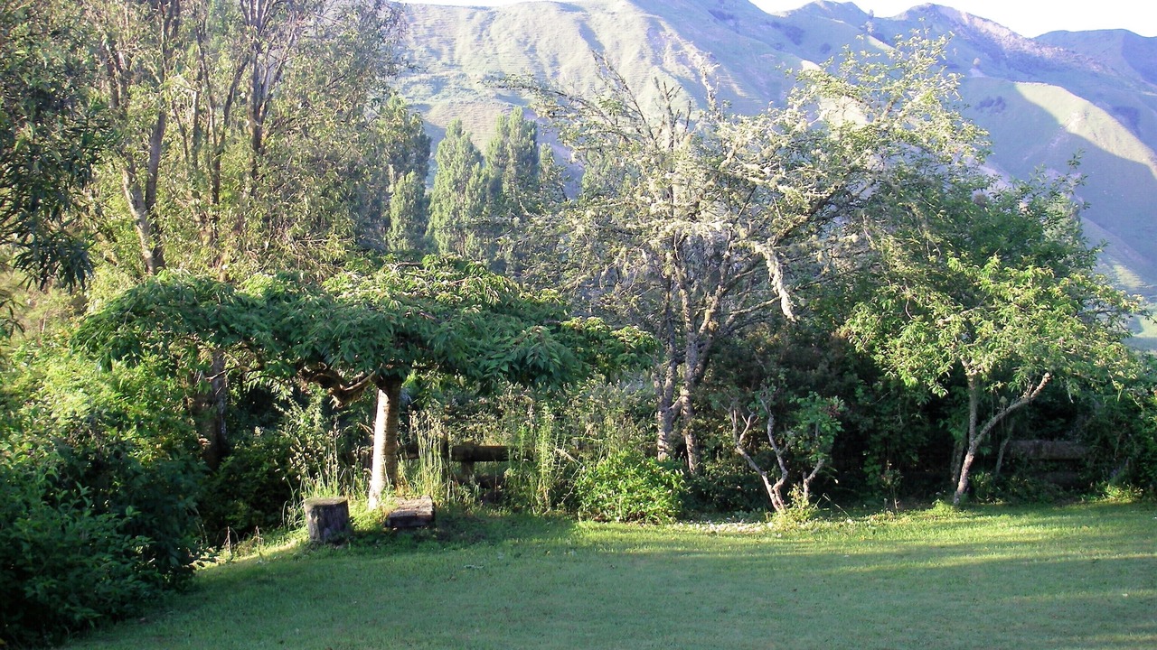 Photo of Outdoor in Ruakituri