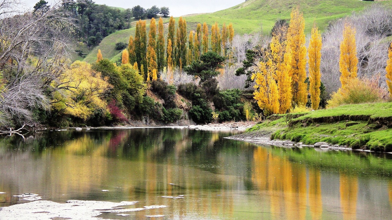 Photo of Outdoor in Ruakituri