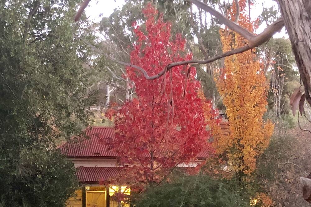 Photo of Outdoor in Maldon