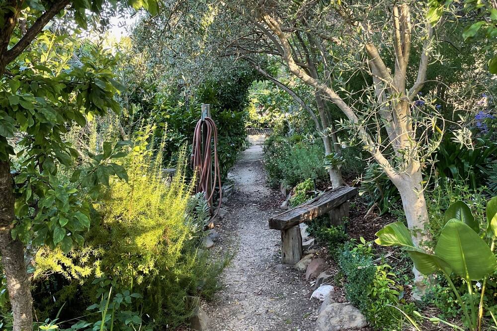 Photo of Outdoor in Maldon