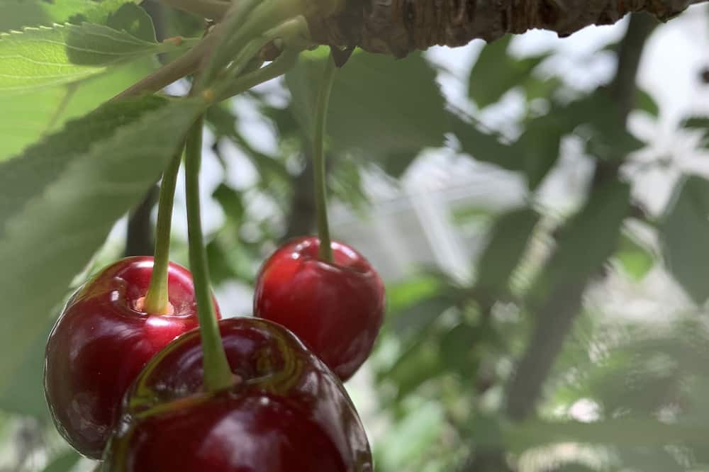 Photo of Outdoor in Maldon