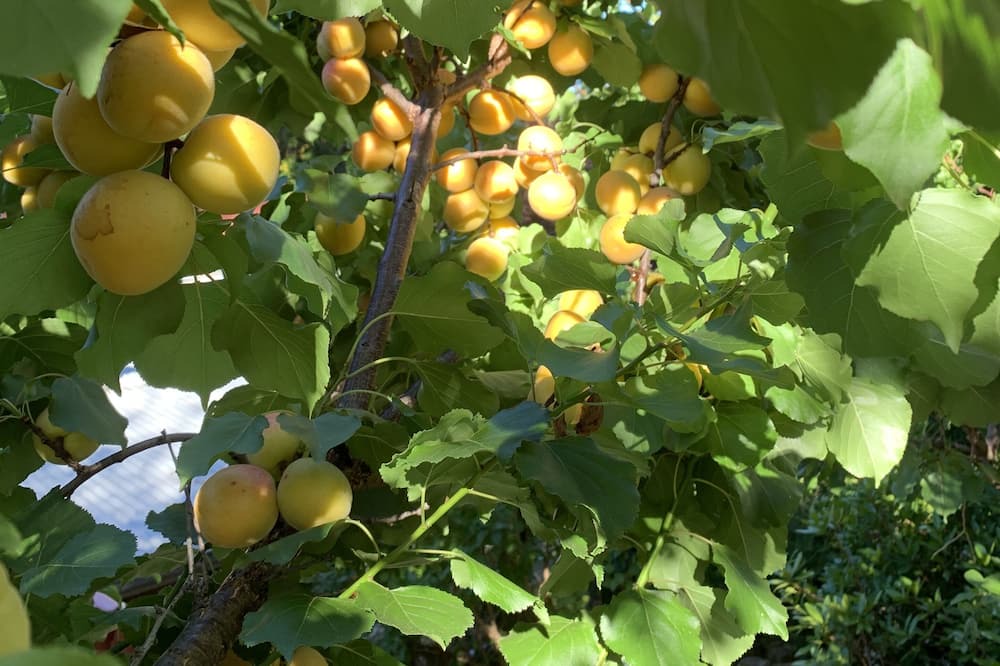 Photo of Outdoor in Maldon