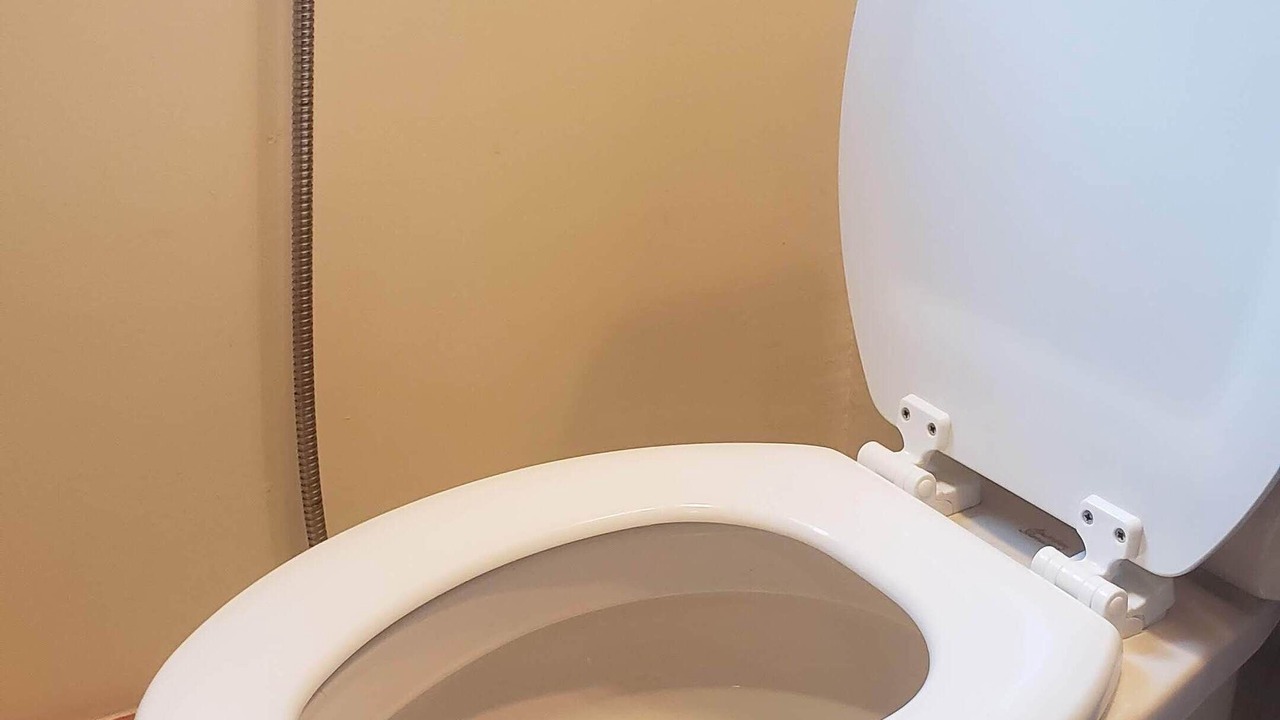 Photo of Others in Grahamsville