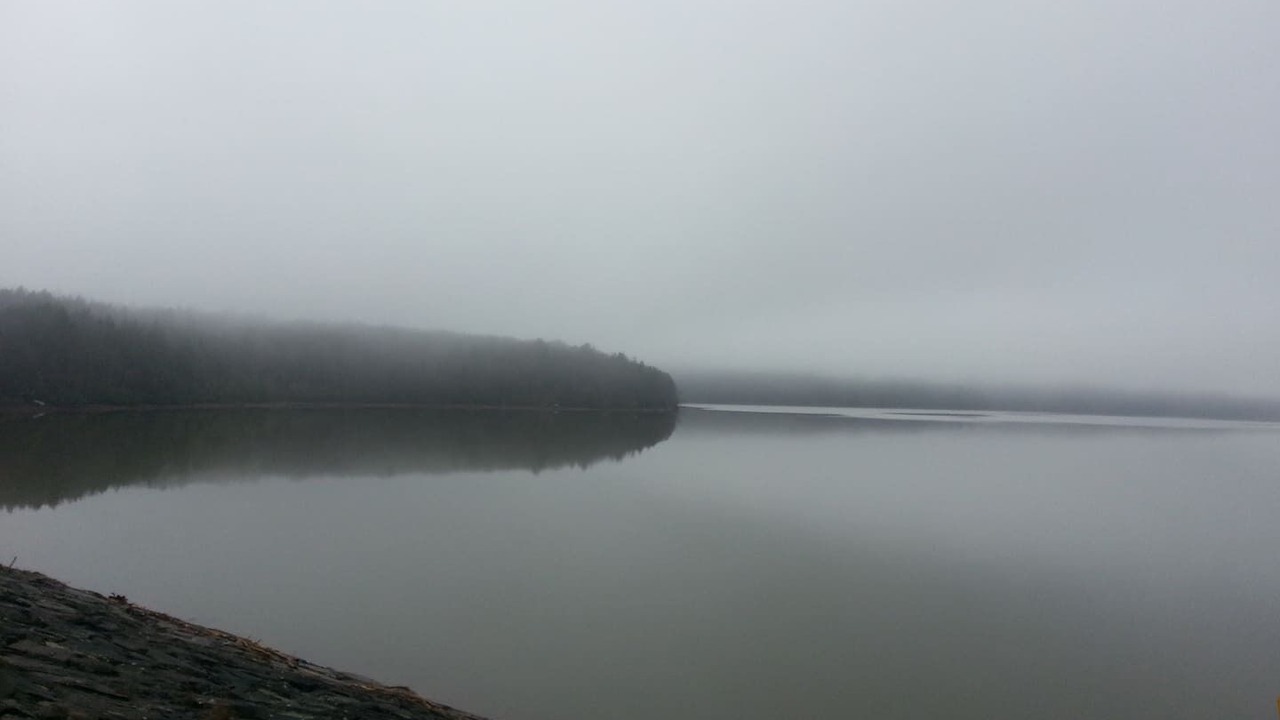 Photo of Others in Grahamsville