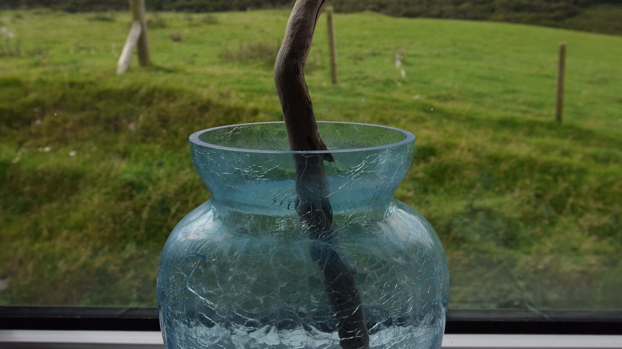 Photo of Others in Thurso