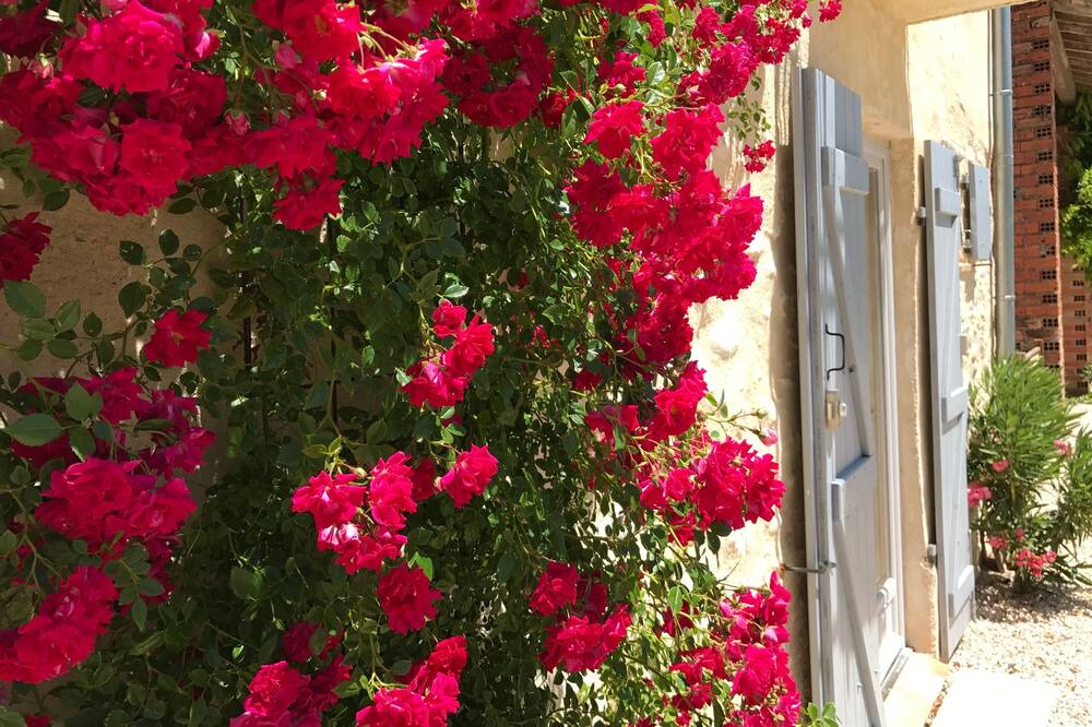 Photo of Outdoor in Gaudies
