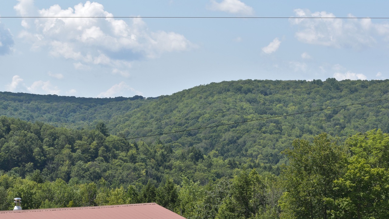 Photo of Patio Balcony in Morris