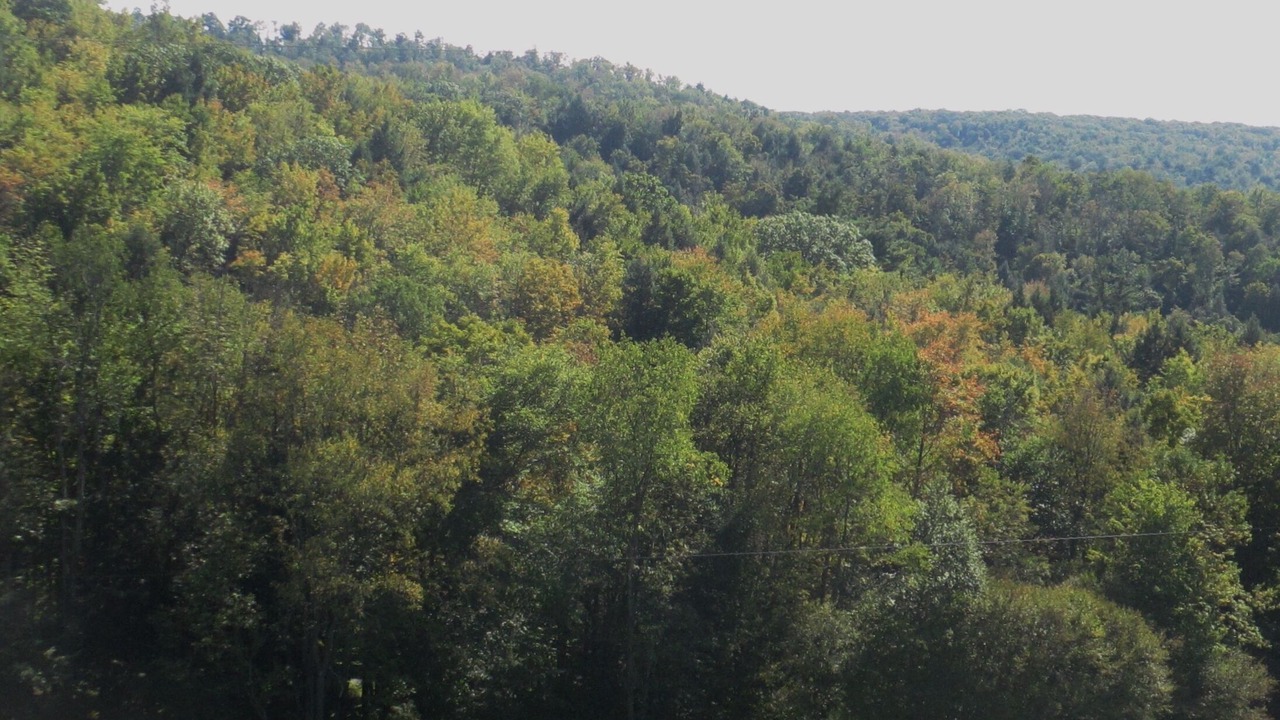 Photo of Others in Morris