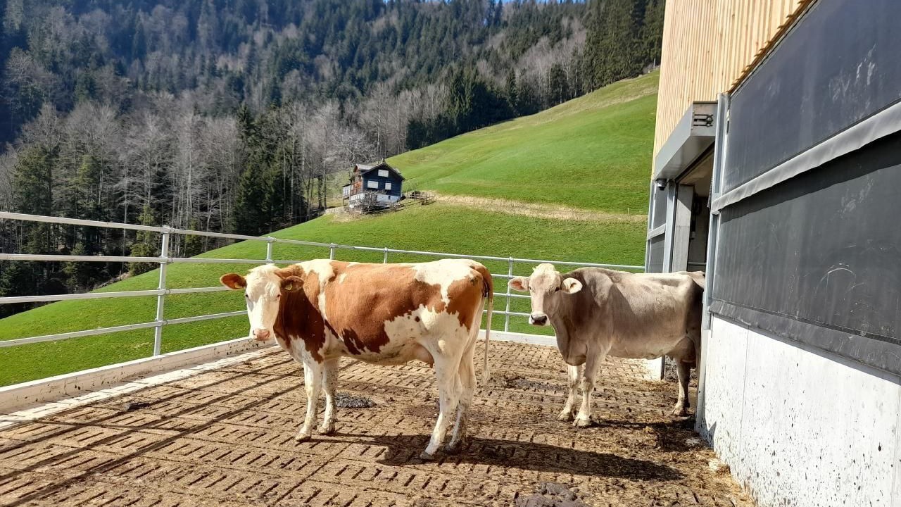 Photo of Others in Neckertal
