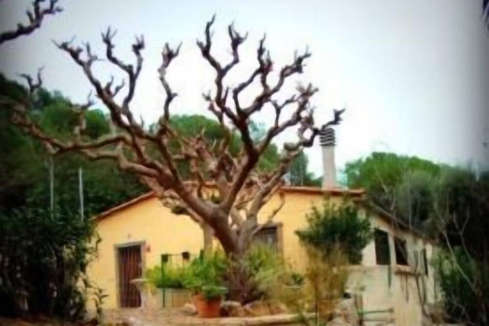 Photo of Outdoor in Tarragona