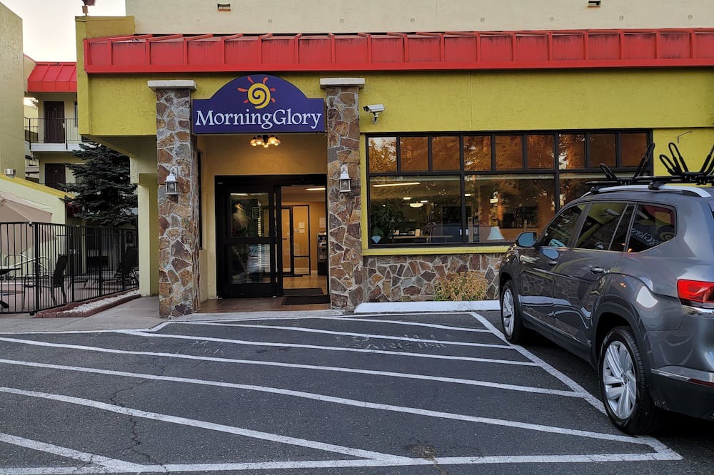 Photo of Outdoor in Cornwall Park