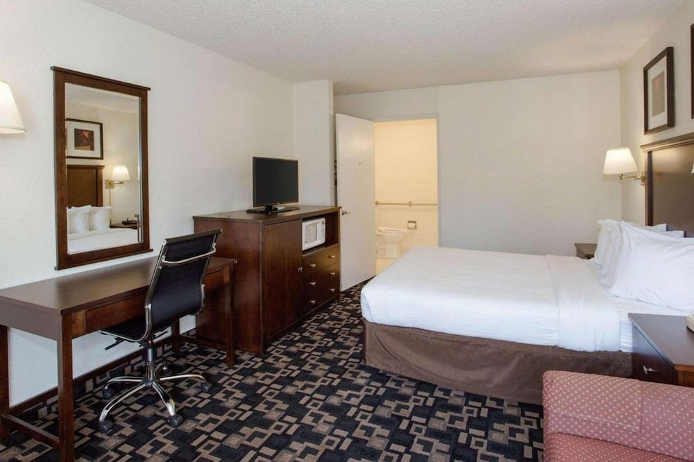 Photo of Others in Cornwall Park