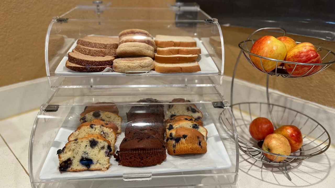 Photo of Others in Cornwall Park