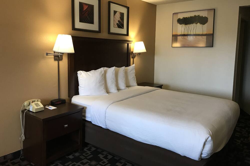 Photo of Others in Cornwall Park