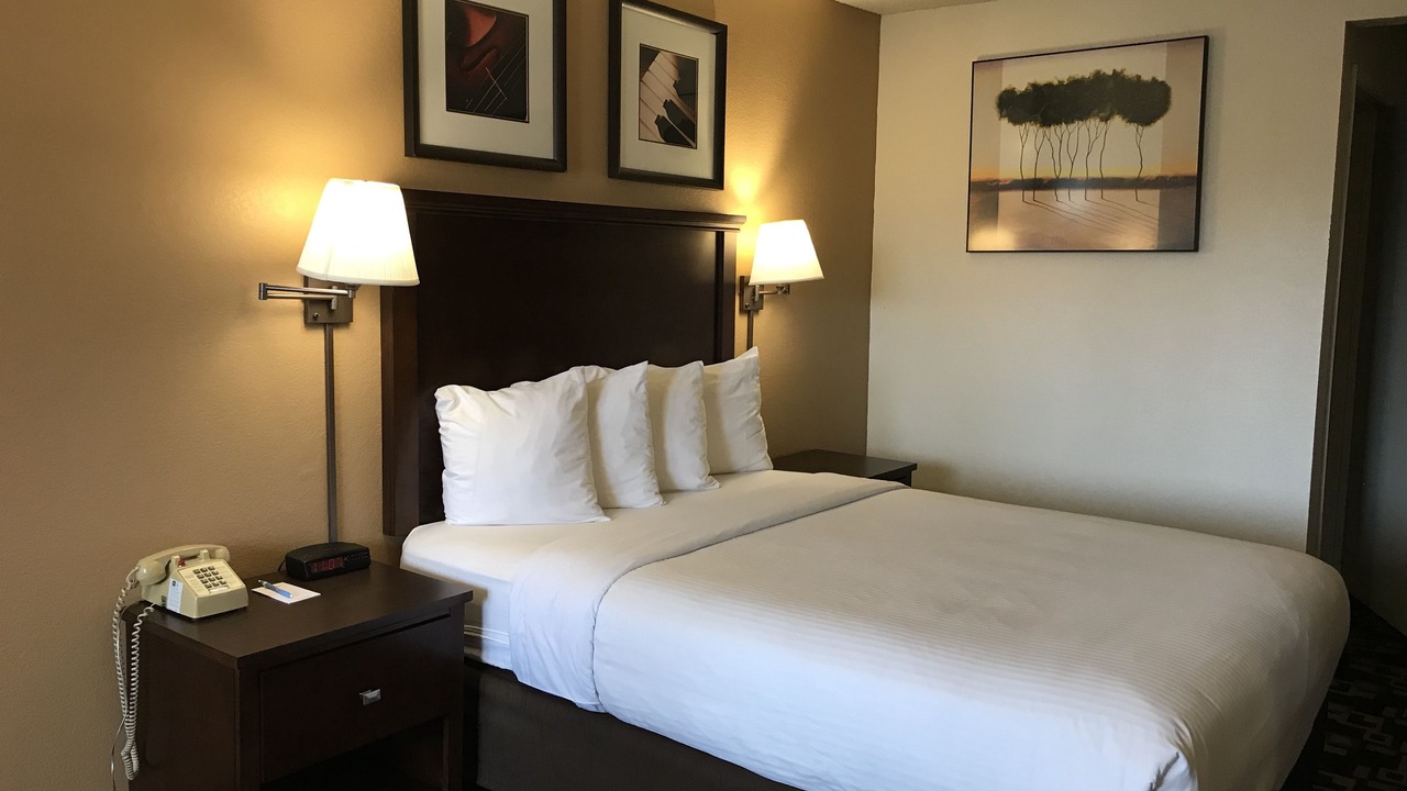 Photo of Others in Cornwall Park