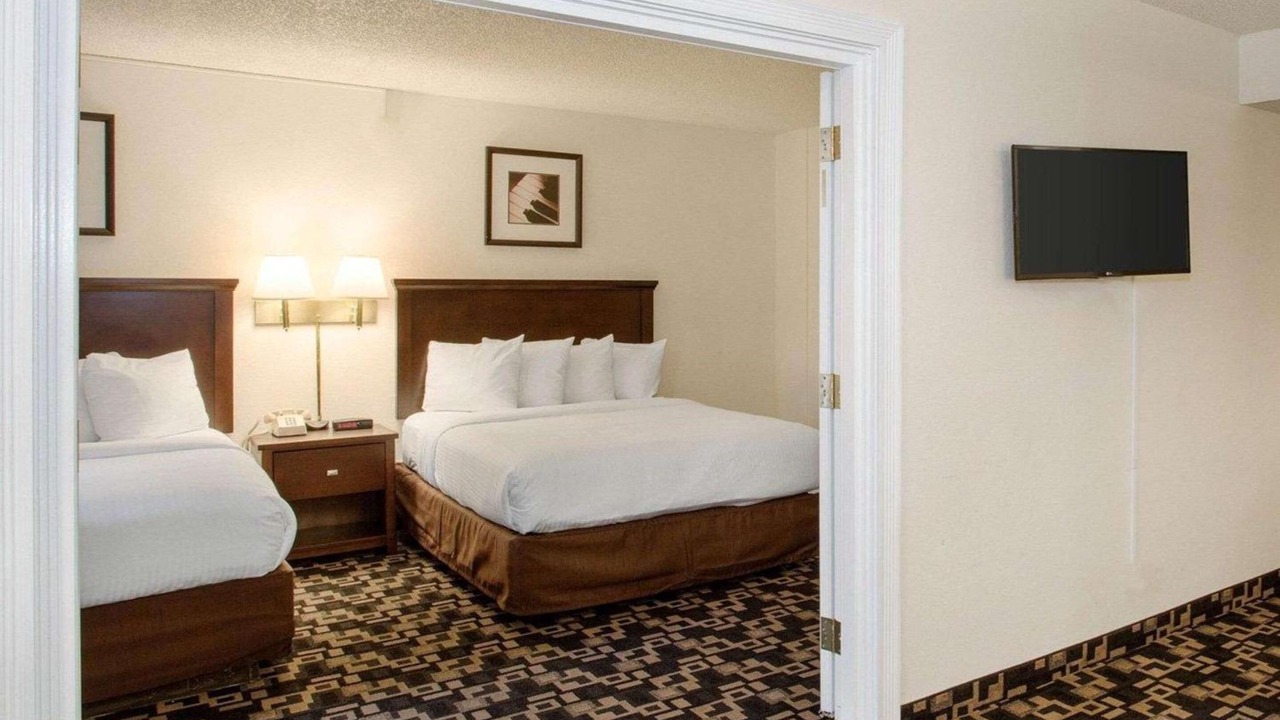 Photo of Others in Cornwall Park